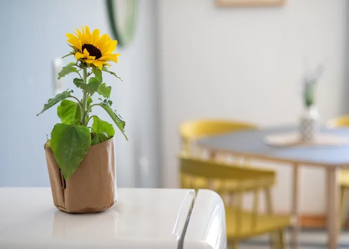 Apartman Front Podgora (Split-Dalmatia)
