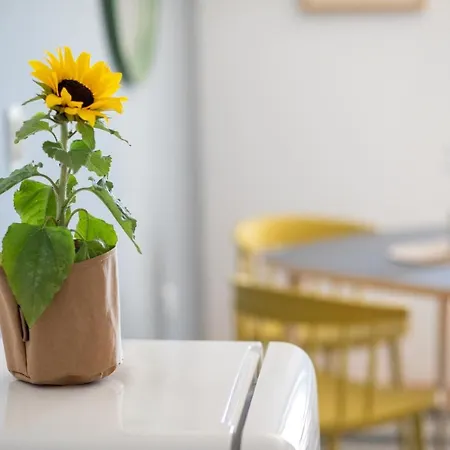 Apartmán Front Podgora (Split-Dalmatia)